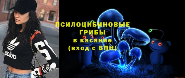 гидра Бугульма