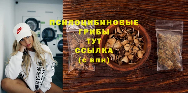 дмт Бронницы