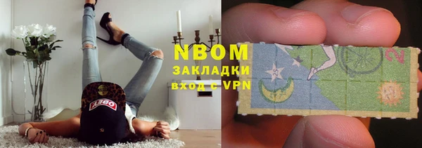 шишки Бородино