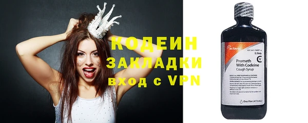 шишки Бородино