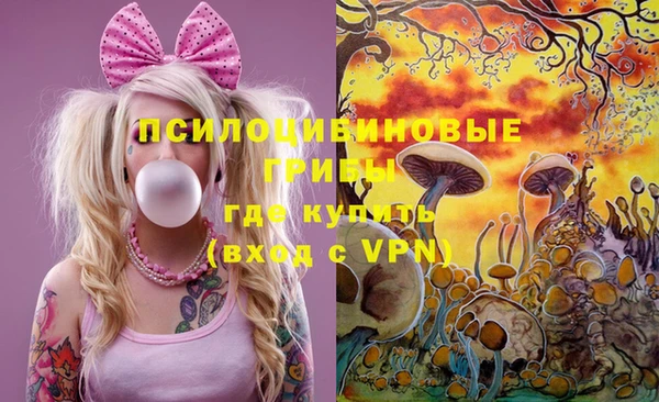 шишки Бородино