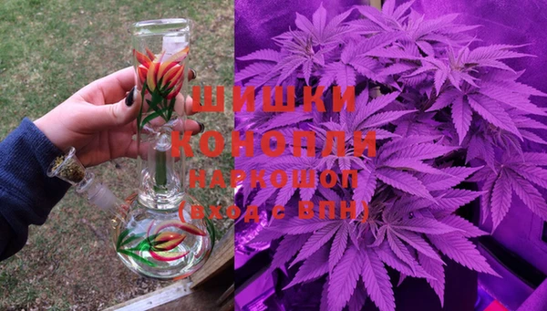 дмт Бронницы