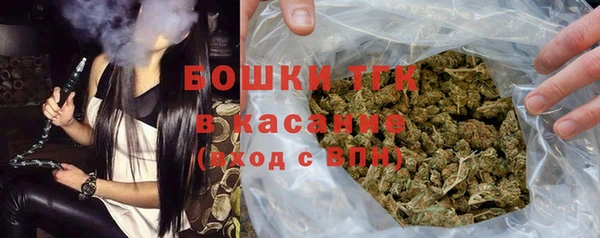 шишки Бородино