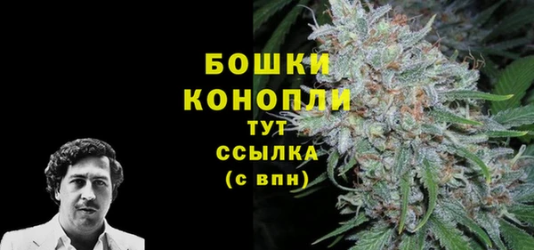 шишки Бородино