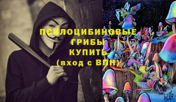 шишки Бородино