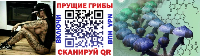 Галлюциногенные грибы мухоморы нарко площадка телеграм Горняк закладка